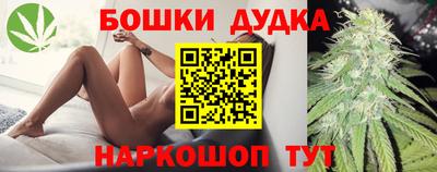 СК Моздок