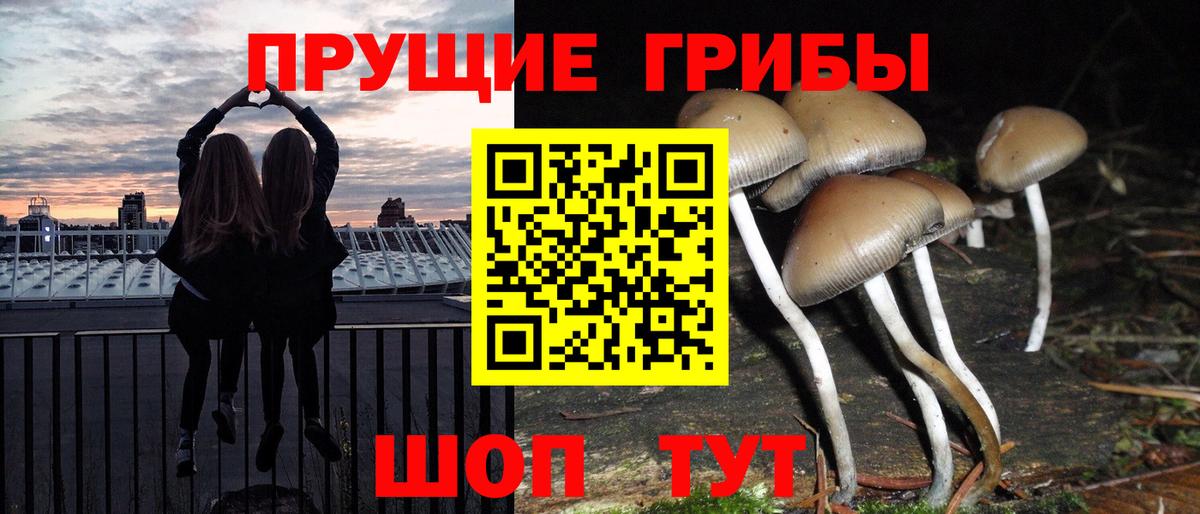 Галлюциногенные грибы мухоморы  Вход с VPN  Заречный 