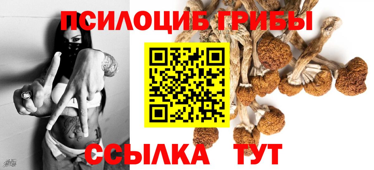 Галлюциногенные грибы MAGIC MUSHROOMS Заречный